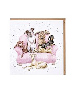Wrendale Designs "Foraging Foray" Woodland Animal Birthday Card